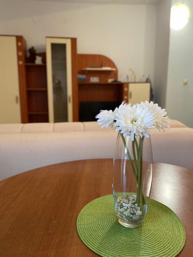 Apartments Mandarina Garden Petrovac Extérieur photo