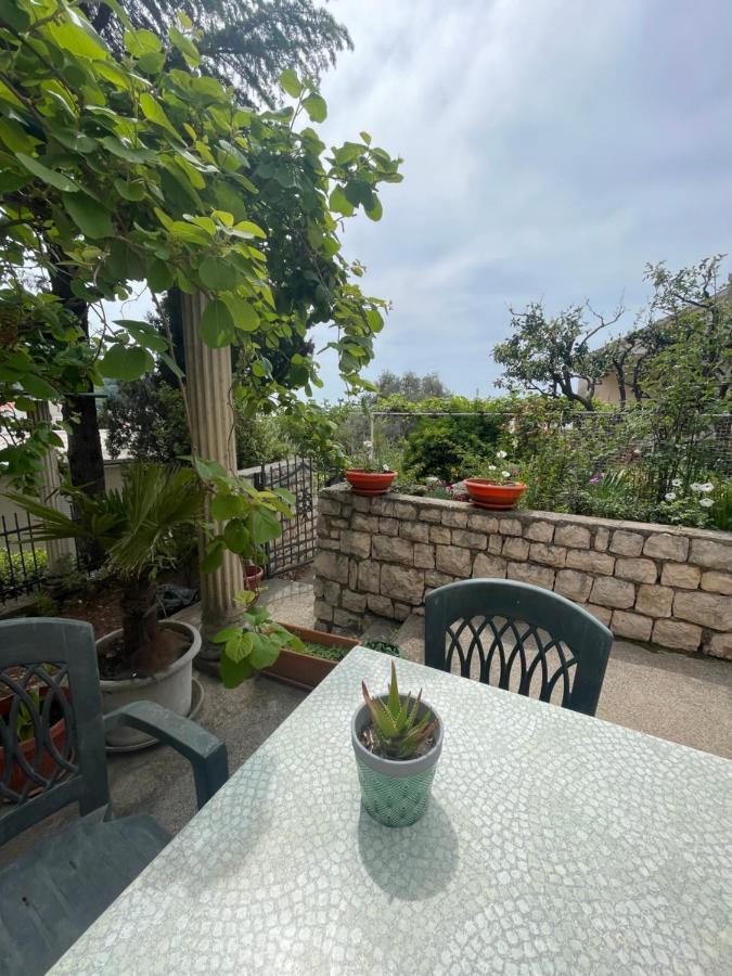 Apartments Mandarina Garden Petrovac Extérieur photo